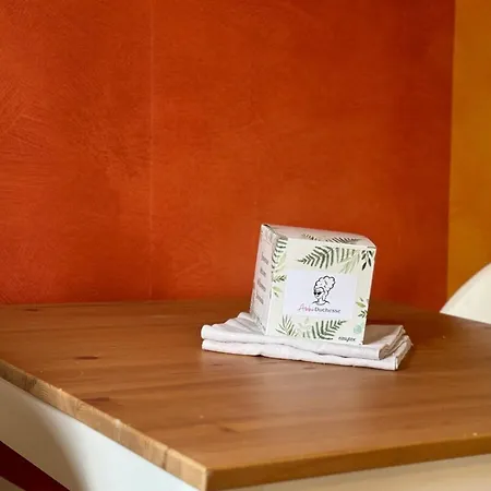 Julia Un Veritable Cocon Au Coeur De La * Rouen